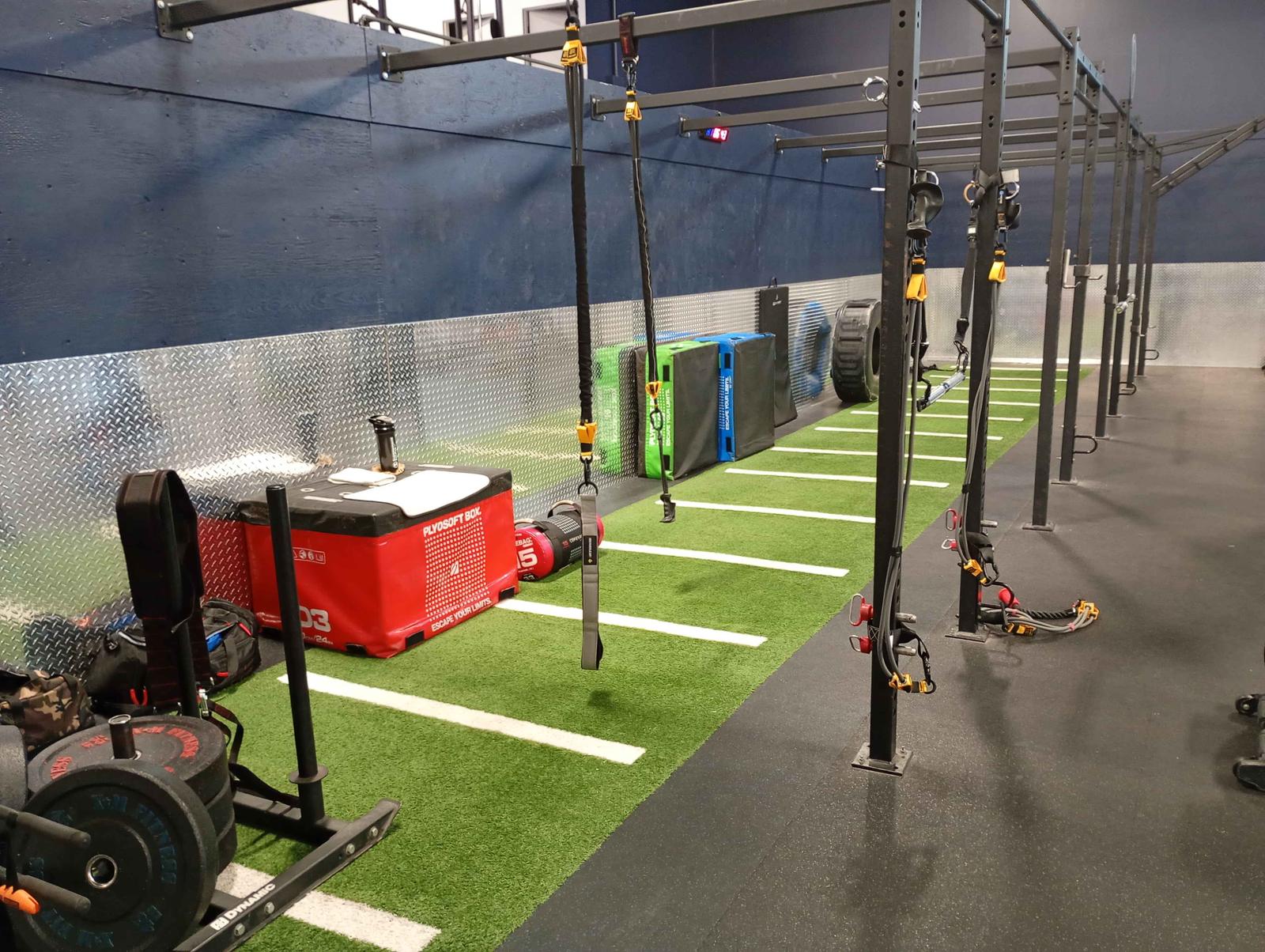 The rig — plyo box, resistance bands, the actual gear